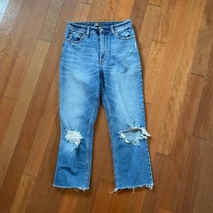 Abercrombie and Fitch Zoe Natural Rise Ankle Straight Jeans size 27/4